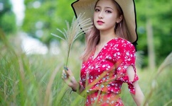 波多野结衣作品封面